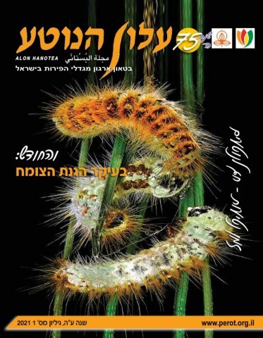 שער עלון הנוטע מספר 1 מרץ שער עלון הנוטע מספר 1 מרץ