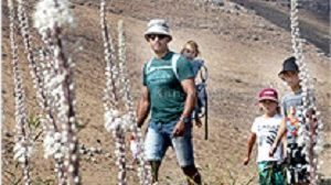 קק"ל: עשרות אלפי מבקרים הגיעו ליערות ולפארקים חול המועד סוכות