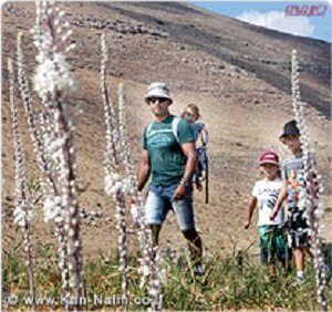 קק"ל: עשרות אלפי מבקרים הגיעו ליערות ולפארקים חול המועד סוכות