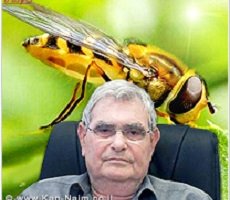 פרופ’ אילן סלע זוכה פרס קיי לחדשנות על: פיתוח פתרון להיעלמות דבורים