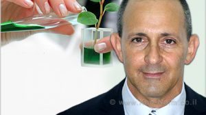סטוקטון הישראלית, קיבלה רישיון פדרלי אמריקאי לחומר ההדברה הירוק טימורקס גולד | מר זיו תירוש