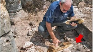 אנשי רשות העתיקות אוספים את שברי הפסיפס שנותרו באתר בגוש תפן צילום: שמואל מגל, רשות העתיקות עיבוד שולי סונגו ©