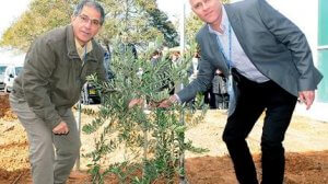 המרכז הרפואי הלל יפה: נוטעים עץ לבריאות טובה על רקע חגיגות 125 ליסוד העיר חדרה