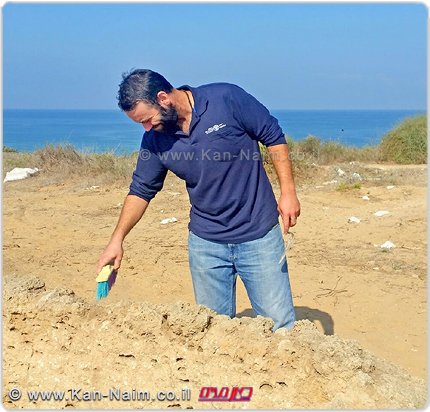 פדריקו קוברין, מנהל החפירה מטעם רשות העתיקות, ליד מגדל התצפית בחוף הים באשקלון | צילום: רשות העתיקות | עיבוד: שולי סונגו ©