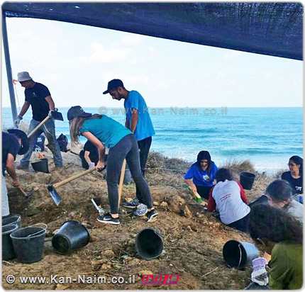 בני הנוער שעבדו בחפירה הארכאולוגית בחוף הים באשקלון | צילום: רשות העתיקות | עיבוד: שולי סונגו ©