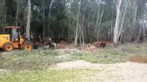 אנרג'י פארק חדרה, אתר עבודות הבנייה מתחבר אל כביש מספר 2 | צילום: דוברות עיריית חדרה