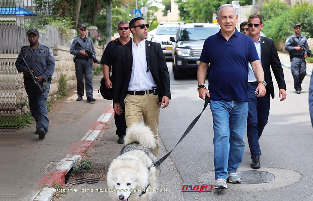 ראש הממשלה מר בנימין נתניהו בטיול עם קאיה, הכלבה המלכותית | העולם הזה על פי אורי אבנרי | עיבוד צילום: שולי סונגו ©