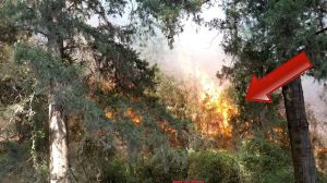 השריפה ביום ראשון בערב ביערות מנשה | צילום: יונתן פינקס | עיבוד צילום: שולי סונגו ©