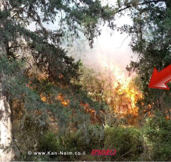 השריפה ביום ראשון בערב ביערות מנשה | צילום: יונתן פינקס | עיבוד צילום: שולי סונגו ©