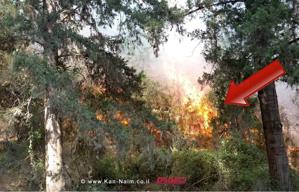 השריפה ביום ראשון בערב ביערות מנשה | צילום: יונתן פינקס | עיבוד צילום: שולי סונגו ©