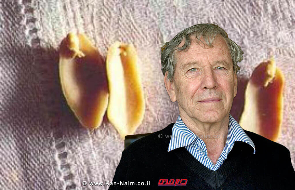 הסופר עמוס עוז ישתתף בערב חגיגי לסופר חיים באר שיתקיים ב'בית אריאלה' בעיר תל אביב-יפו | צילום: יחצ, כתר | עיבוד צילום: שולי סונגו © הסופר עמוס עוז ישתתף בערב חגיגי לסופר חיים באר שיתקיים ב'בית אריאלה' בעיר תל אביב-יפו | צילום: יחצ, כתר | עיבוד צילום: שולי סונגו ©