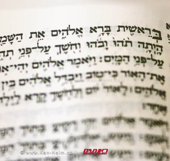 פָּרָשַׁת בְּרֵאשִׁית | בריאת מציאות חדשה עבורנו וקרובנו | עיבוד צילום: שולי סונגו ©