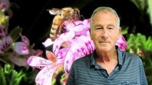 זאב מידן, מנכל מועצת הדבש | רקע: דבורה ופרח