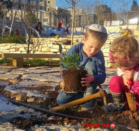 ט"ו בשבט חג לאילנות תש"פ בסימן פלגי מים ונטיעה