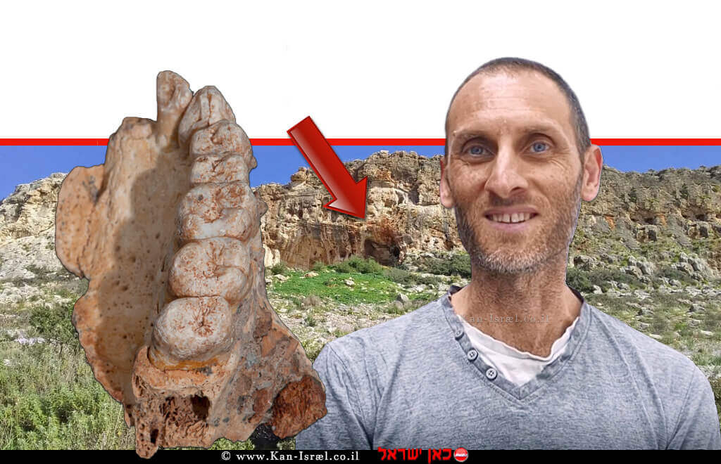דר' ליאור וויסברוד והלסת האנושית ממערת מיסליה בכרמל ברקע: מערת מיסלייה | צילומים: יולי שוורץ, ישראל הרשקוביץ, מינה וינשטיין-עברון דר' ליאור וויסברוד והלסת האנושית ממערת מיסליה בכרמל ברקע: מערת מיסלייה | צילומים: יולי שוורץ, ישראל הרשקוביץ, מינה וינשטיין-עברון