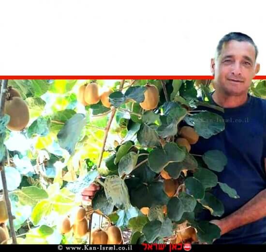 ירון בלחסן, מנכל ארגון מגדלי הפירות בין עצי מטעי הקיווי בקיבוץ מלכיה | עיבוד: שולי סונגו ©