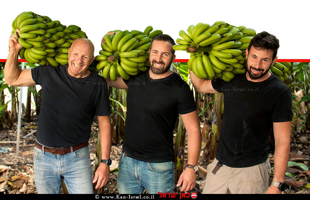 יאיר ברק וישראל אבני מגדלי בננות מושב גבע כרמל | צילום: מעין עופר | עיבוד צילום: שולי סונגו © יאיר ברק וישראל אבני מגדלי בננות מושב גבע כרמל | צילום: מעין עופר | עיבוד צילום: שולי סונגו ©
