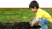 ילד מכין עץ לשתילה, ט"ו בשבט תשפ"א | עיבוד צילום: שולי סונגו ©