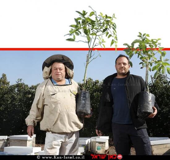 מאור ירקוני מנהל "חקלאות קבוצת כינרת" ומשמאל: הדבוראי גל כינרתי מכוורת קיבוץ כינרת | צילום: מועצת הדבש | עיבוד צילום: שולי סונגו ©