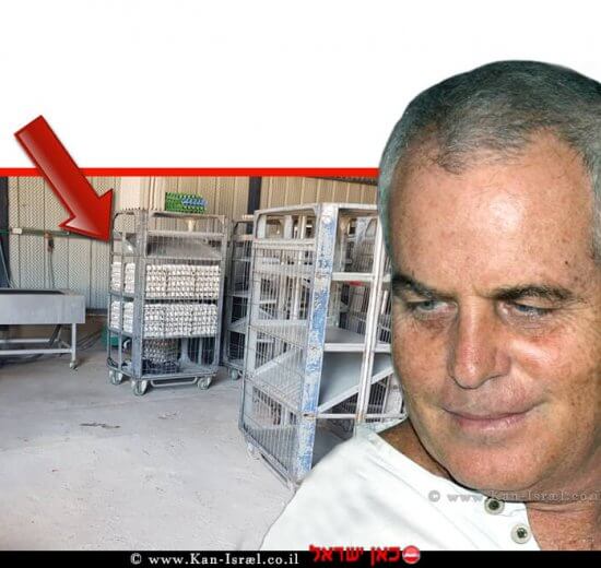 דר' רם כץ, רופא ראשי לבריאות העוף בשירותים הווטרינריים במשרד החקלאות ברקע: המבנה הלא מקורר ב-פְּקִיעִין החדשה בו נחשפו ביצים מסוכנות לציבור | עיבוד צילום: שולי סונגו ©