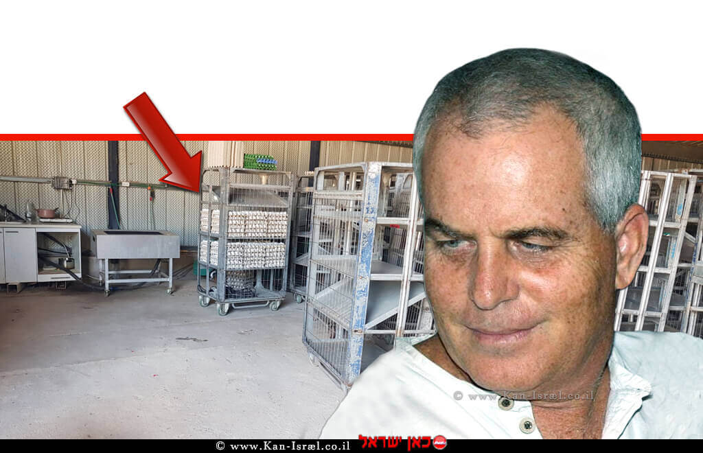 דר' רם כץ, רופא ראשי לבריאות העוף בשירותים הווטרינריים במשרד החקלאות ברקע: המבנה הלא מקורר ב-פְּקִיעִין החדשה בו נחשפו ביצים מסוכנות לציבור | עיבוד צילום: שולי סונגו © דר' רם כץ, רופא ראשי לבריאות העוף בשירותים הווטרינריים במשרד החקלאות ברקע: המבנה הלא מקורר ב-פְּקִיעִין החדשה בו נחשפו ביצים מסוכנות לציבור | עיבוד צילום: שולי סונגו ©