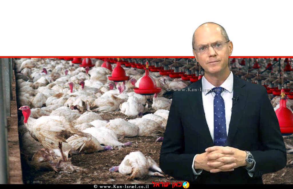  עודד פורר שר החקלאות ופיתוח הכפר, ברקע: קורבנות שפעת העופות בלולי קיבוץ חוֹלִית בעבר ​| צילום: depositphotos © | עיבוד צילום: שולי סונגו ©