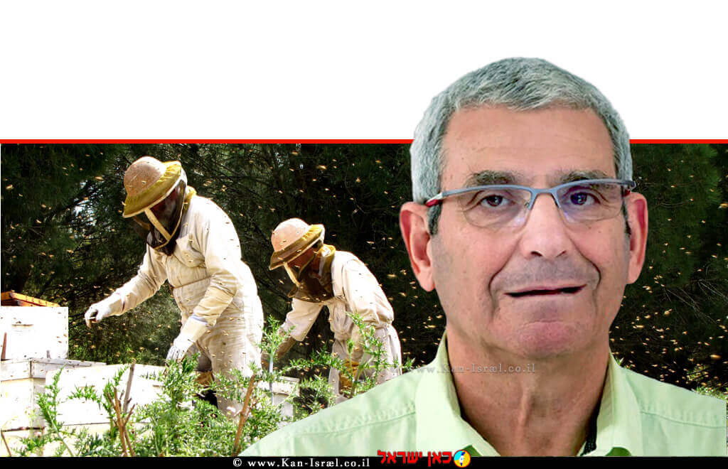 אופי רייך, מנכל מועצת הדבש ברקע: מכוורת אלון הגליל, צילום: אדוה אופיר | צילום: יחצ | עיבוד צילום: שולי סונגו©
