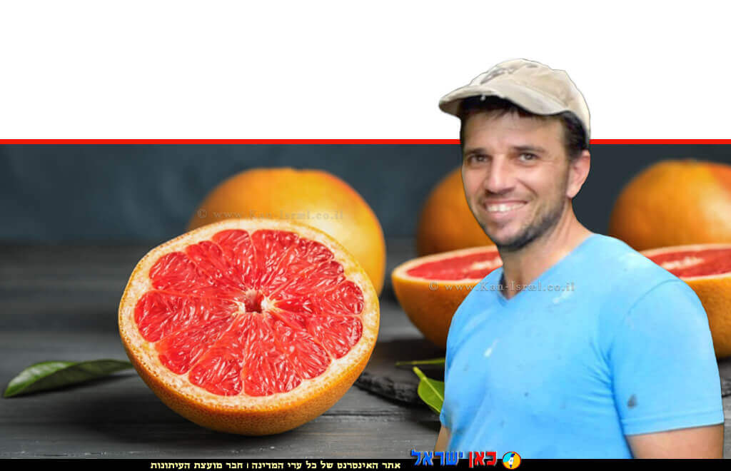 עידו נווה מנהל הפרדס בקיבוץ עֵין גֵּב ברקע: אשכוליות אדומות | צילום: Depositphotos | עיבוד צילום: שולי סונגו©