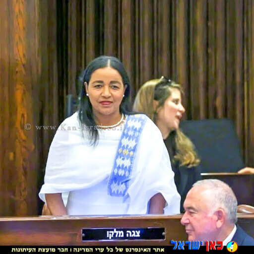  חברת כנסת צגה מלקו ביומה הראשון בכנסת ישראל, צילום מסך מועצת העיתונות | עיבוד צילום: שולי סונגו ©