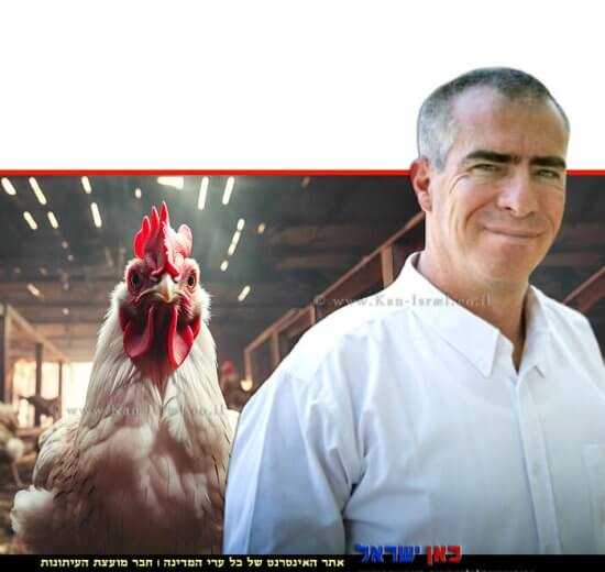 ד"ר תמיר גשן, מנהל השירותים הווטרינריים ובריאות המקנה של משרד החקלאות ופיתוח הכפר, ברקע: תרנגול בלול | צילום: עודד קרני, לעמ | עיבוד צילום: שולי סונגו ©