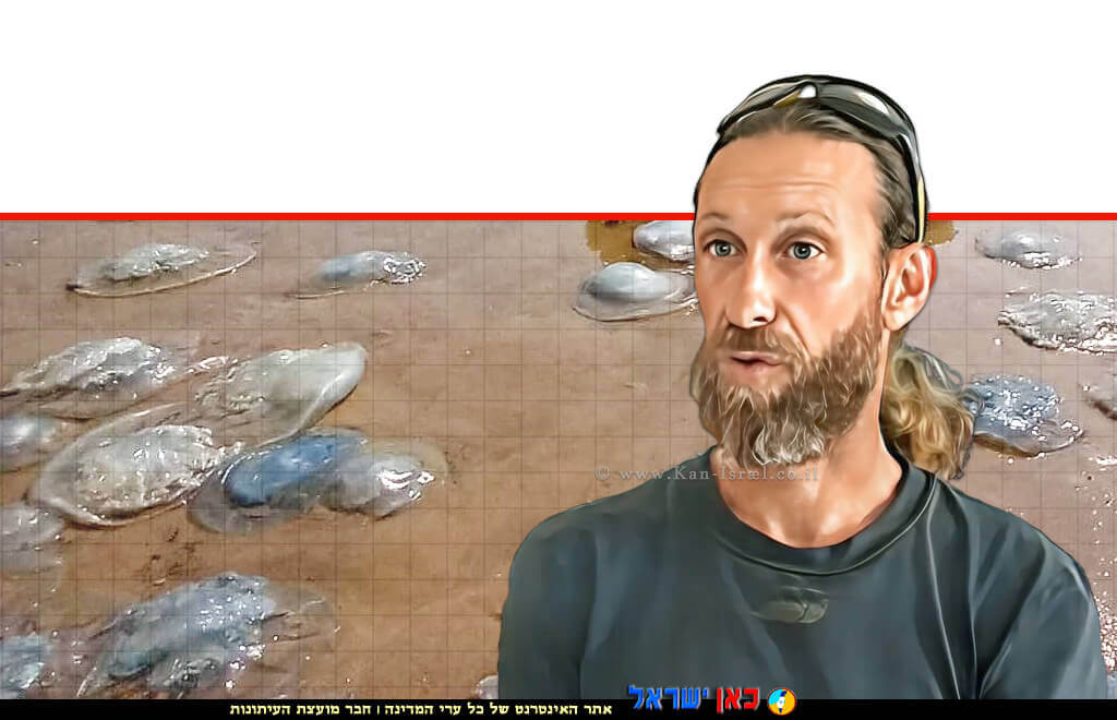 ד"ר דור אדליסט ביולוג ימי, מעבדת AMBER באוניברסיטת חיפה ברקע מדוזות ענק בישראל | עיבוד: Photolab | עיבוד צילום: שולי סונגו ©
