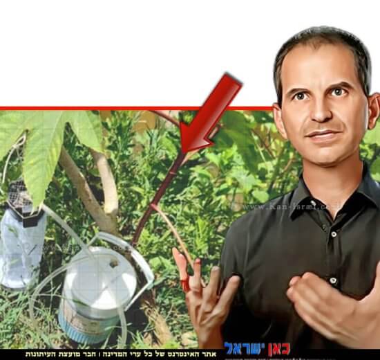 ד"ר שי רייכר מנהל אגף מזיקים והדברה במשרד להגנת הסביבה ברקע: מלכודות יתושים באזור דרום השרון | צילום: ברק שחם | עיבוד: Photolab | עיבוד צילום: שולי סונגו ©