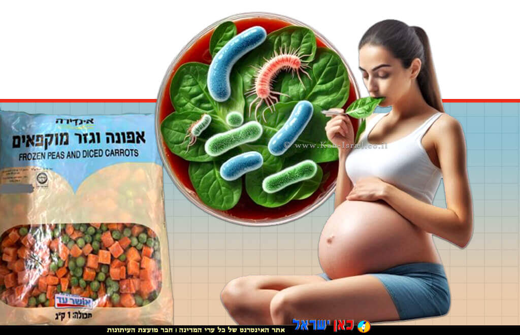 אישה בהיריון אוכלת ירקות | הדמייה ברקע: סכנת חיידקי ליסטריה באפונה וגזר מוקפאים של "אינדירה" עלול לגרום הפלות בנשים הרות |בינה מלאכותית Microsoft Copilot | עיבוד צילום: שולי סונגו ©