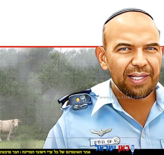 מפקד תחנת נשר, סגן ניצב צחי בן חיים, צילום: דוברות המשטרה ברקע: בקר ועשן, צילום: ויקיפדיה | עיבוד: Photolab | עיבוד צילום: שולי סונגו ©