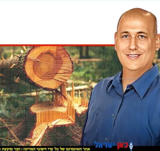 ד”ר ארז ברקאי, פקיד היערות הראשי, של משרד החקלאות וביטחון המזון צילום: עודד קרני, ברקע: עצים שנכרתו | צילום: בינה מלאכותית gemini.google | עיבוד: Photolab | עיבוד צילום: שולי סונגו ©