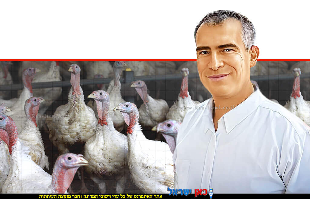ד"ר תמיר גשן ברקע: תרנגולי הודו על רקע התפרצות שפעת עופות H5N1 | צילום עודד-קרני | צילום: בינה מלאכותית, 123rf-com | עיבוד: Photolab | עיבוד צילום: שולי סונגו ©