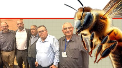 דבורה, בצילום מימין לשמאל: אופי רייך מנכ"ל המועצה להאבקה ודבש, ח"כ דוד ביטן יו"ר ועדת כלכלה, אורי דורמן מזכ"ל התאחדות חקלאי ישראל, ח"כ ששון גואטה, ד"ר אסף לוי סמנכ"ל בכיר במשרד החקלאות | צילום המועצה להאבקה ודבש | עיבוד: Photolab | עיבוד צילום: שולי סונגו ©