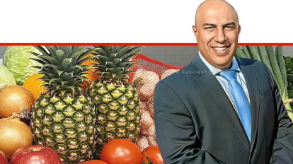 מנכ”ל משרד החקלאות וביטחון המזון, אורן לביא, חקלאות והשפעת "חרבות ברזל" זינוק בייבוא תוצרת טרייה לארץ | רקע בינה מלאכותית של Gemini Google דבורים | עיבוד: Photolab | עיבוד צילום: שולי סונגו ©