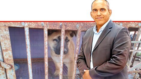 משה אחרק, מנהל היחידה המרכזית לאכיפה וחקירות (פיצוח) במשרד החקלאות וביטחון המזון ברקע כלב שחולץ | צילום: סיון שחור, לעמ | עיבוד: Photolab | עיבוד צילום: שולי סונגו ©