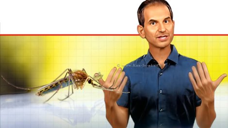 ד"ר שי רייכר, מנהל אגף מזיקים והדברה במשרד להגנת הסביבה ברקע: יתוּשות נגוּעות בנגיף קדחת מערב הנילוס | צילום: משרד להגנת הסביבה | עיבוד: Photolab | עיבוד צילום: שולי סונגו©