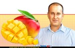 גיורא מרום מנכל קבוצת חקלאי גרנות | צילום: הילה אייזינגר | רקע: מנגו | עיבוד: Photolab | עיבוד צילום: שולי סונגו©