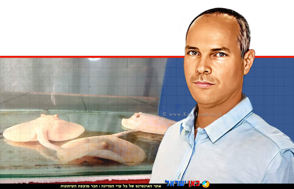 חגי נויברגר ממונה פיקוח ואכיפה באגף הדיג משרד החקלאות ברקע דגים מסוכנים וארסיים דג תנין ו-טריגון  | עיבוד: Photolab | עיבוד צילום: שולי סונגו ©