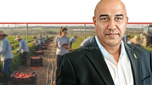 מנכל משרד החקלאות אורן לביא ברקע העסקת עובדים זרים בישראל שיגויסו למערך התמיכה במשקים | הדמייה של בינה מלאכותית של Gemini Google | עיבוד צילום: שולי סונגו©
