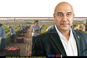 מנכל משרד החקלאות אורן לביא ברקע העסקת עובדים זרים בישראל שיגויסו למערך התמיכה במשקים | הדמייה של בינה מלאכותית של Gemini Google | עיבוד צילום: שולי סונגו©