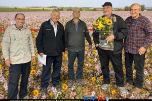 משמאל: אהד אפיק שהמ, חיים אפרת מדריך לשעבר בשהמ, יוסי קמר מכון וולקני בוריס יעקובסון ויוסי סלבצקי מדריך דבורים לשעבר בשה"מ | צילום: המועצה להאבקה ודבש | הדמייה של בינה מלאכותית של Gemini Google | עיבוד צילום: שולי סונגו©