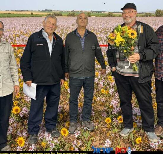 משמאל: אהד אפיק שהמ, חיים אפרת מדריך לשעבר בשהמ, יוסי קמר מכון וולקני בוריס יעקובסון ויוסי סלבצקי מדריך דבורים לשעבר בשה"מ | צילום: המועצה להאבקה ודבש | הדמייה של בינה מלאכותית של Gemini Google | עיבוד צילום: שולי סונגו©