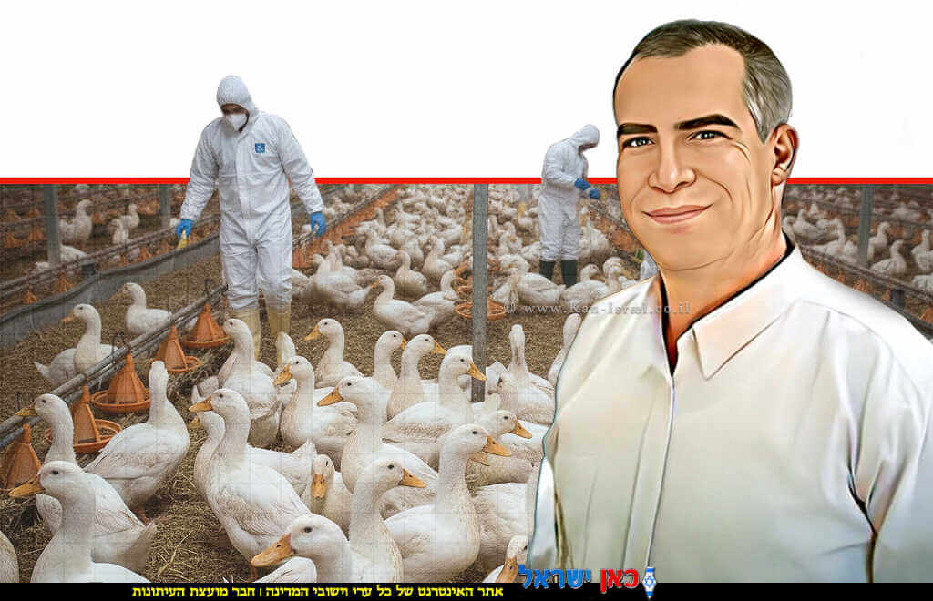 מנהל השירותים הווטרינריים ד”ר תמיר גשן, ברקע להקת ברווזים לרבייה שפעת העופות הראשון החורף | הדמייה של בינה מלאכותית של Gemini Google | עיבוד צילום: שולי סונגו©
