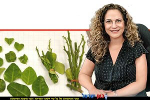 שלומית ציוני מנהלת השירותים להגנת הצומח ולביקורת במשרד החקלאות לימון מתאילנד שכמעט הכחיד פרדסים בישראלצילום: עמית ליבר | צילום: משרד החקלאות | עיבוד: Photolab | עיבוד צילום: שולי סונגו©