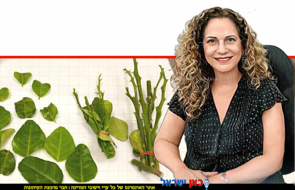 שלומית ציוני מנהלת השירותים להגנת הצומח ולביקורת במשרד החקלאות לימון מתאילנד שכמעט הכחיד פרדסים בישראלצילום: עמית ליבר | צילום: משרד החקלאות | עיבוד: Photolab | עיבוד צילום: שולי סונגו©