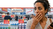 צרכנית מופתעת מהתייקרות בסל הקניות מה-1 במאי של מוצרי החלב שבפיקוח יעלו ב-1 אחוז | עיבוד: Gemini Google | עיבוד צילום: שולי סונגו©